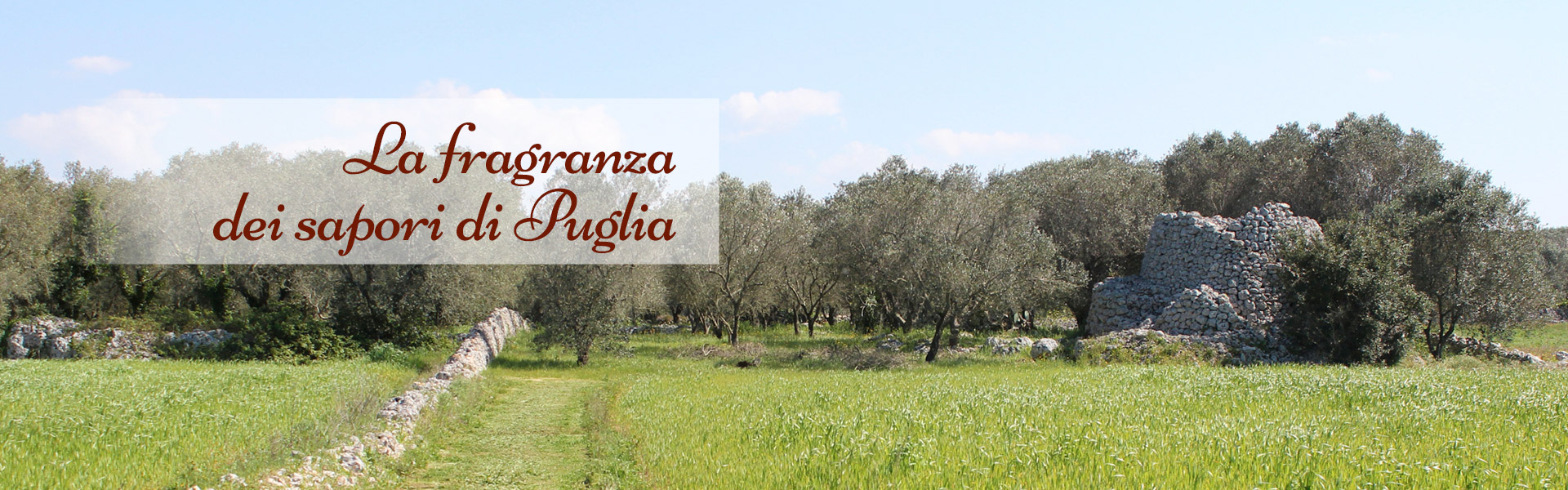 La Fragranza dei sapori di Puglia